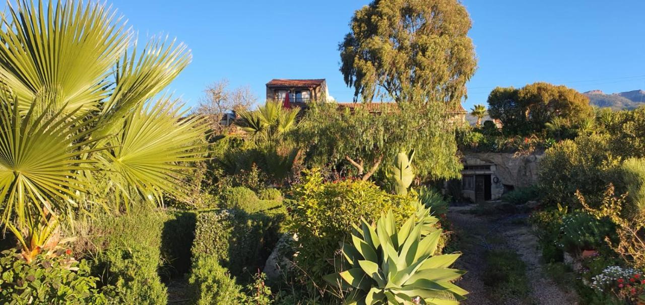 Tenerife Nature Retreat Ifonche Exterior photo