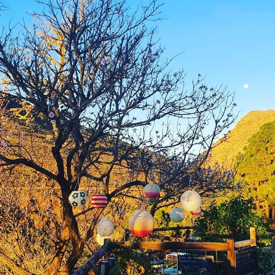 Tenerife Nature Retreat Ifonche Exterior photo
